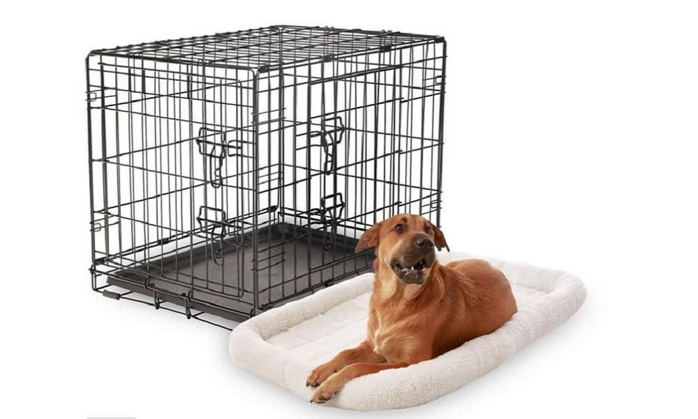BEST DOG CRATES FOR DOGS