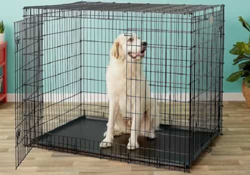 Best crate for large dogs MidWest Solutions Series XX-Large Heavy Duty Double Door Wire Dog Crate