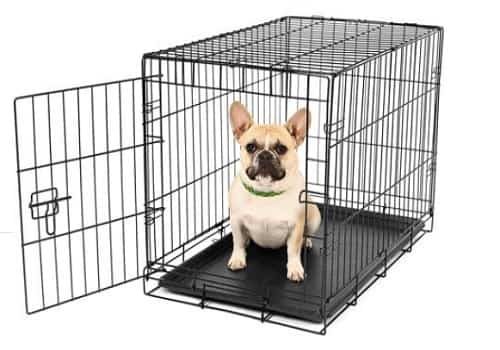 Best crate for small dogs Carlson Pet Products Small Dog Crate
