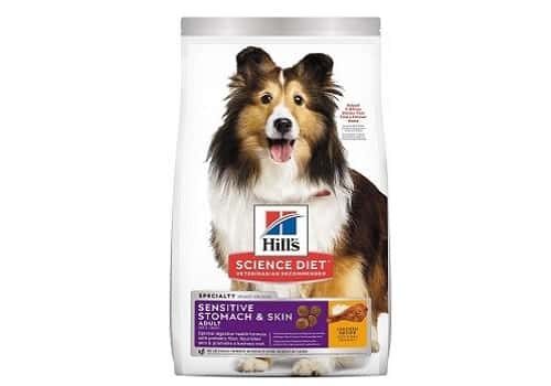 Hills Science Diet Adult Sensitive Stomach and Skin Chicken Recipe Dry Dog Food