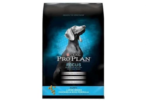 Purina Pro Plan Puppy Large Breed Chicken and Rice Formula with Probiotics Dry Dog Food