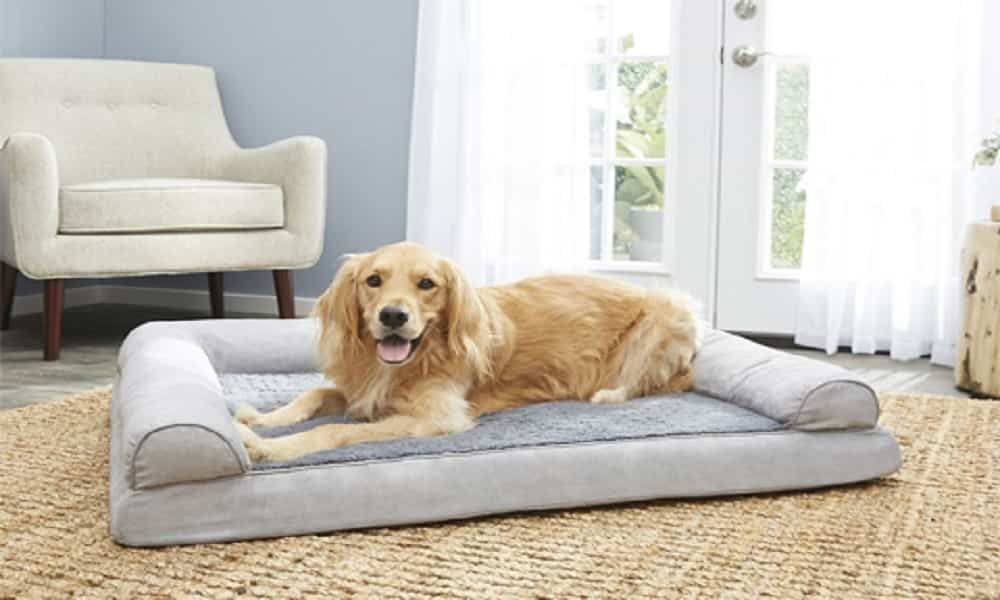 WHAT IS THE BEST DOG BED ON THE MARKET