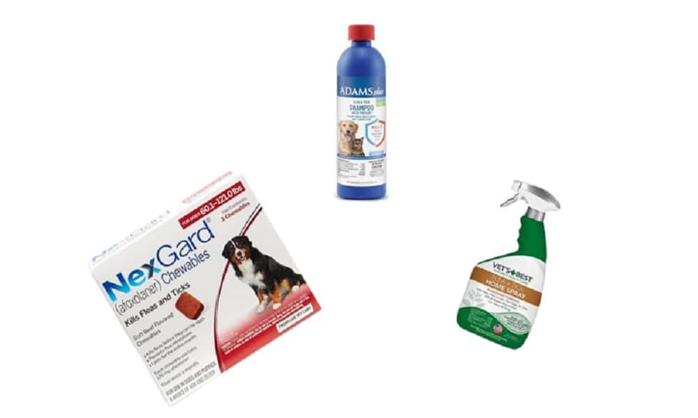 what is the most effective flea treatment for dogs