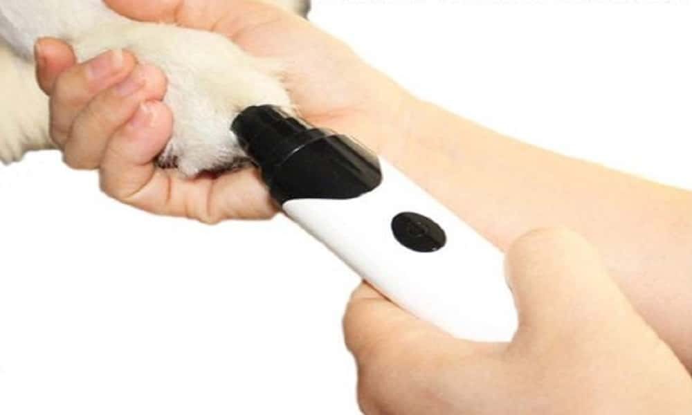 best dog nail grinder