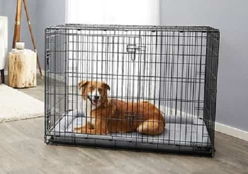 best wire crate for dogs Frisco Fold & Carry Double Door Collapsible Wire Dog Crate